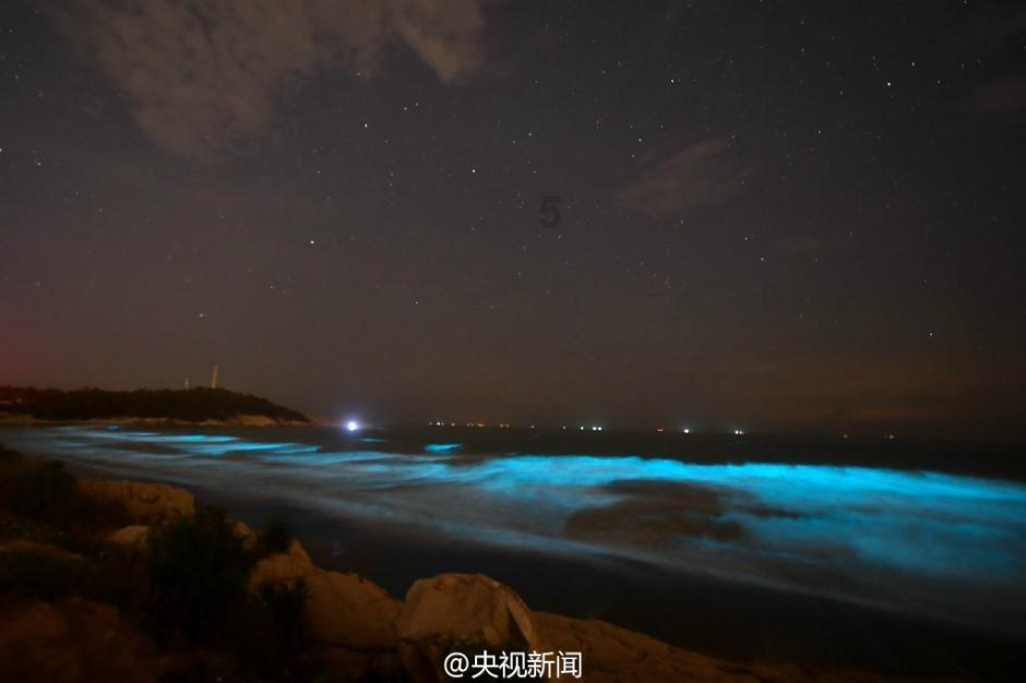 发现冷知识的影音先锋在线观看电影平台,打破常规的冷知识分享
